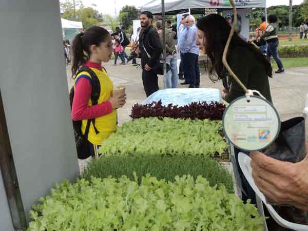 Read more about the article Semana Meio Ambiente – 2014